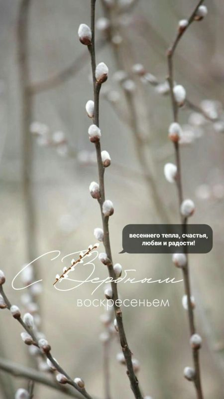 ������� ������� �����������