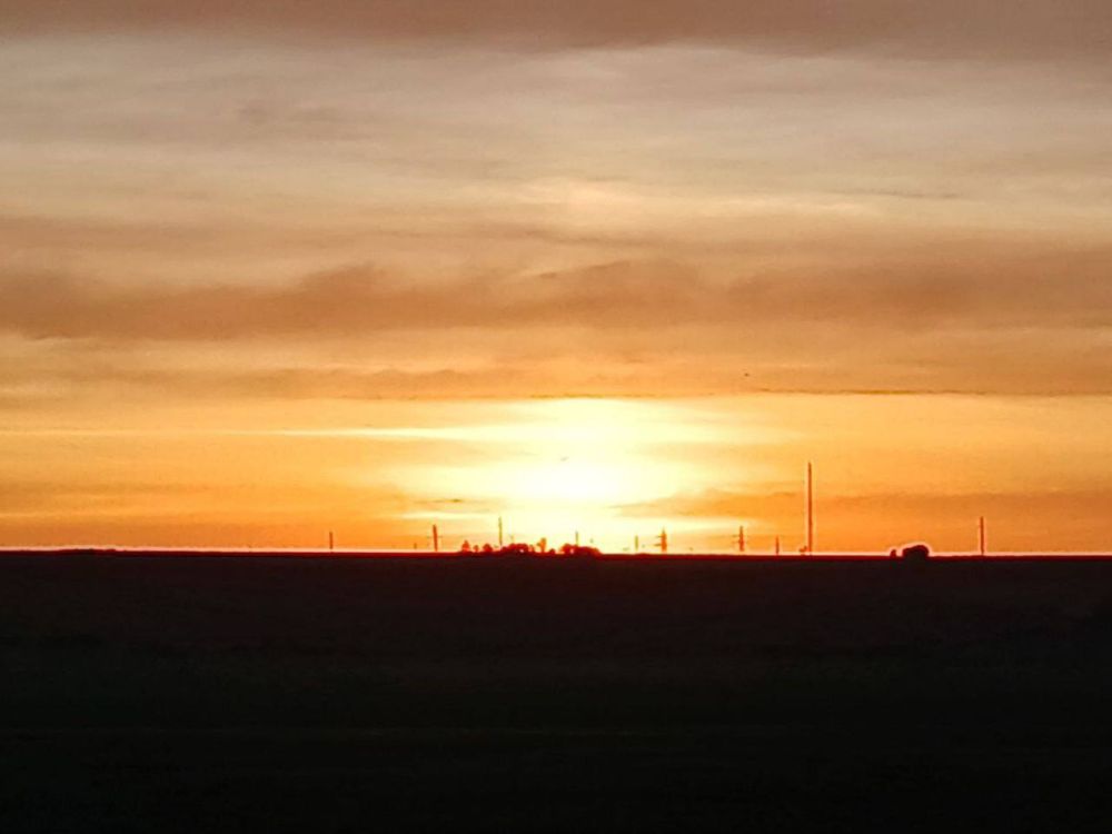 ����� - ����� ���������� ��������