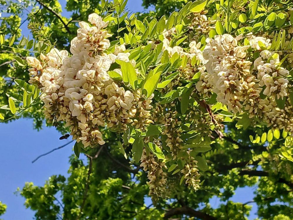 � �������� ������� �����