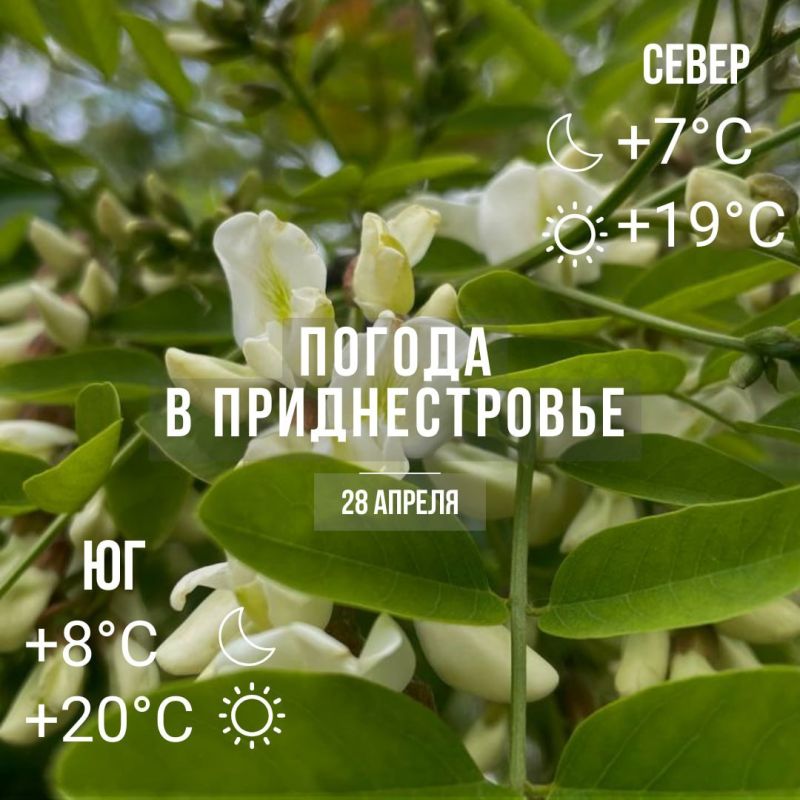 ���� � �� +20��. ��� �������