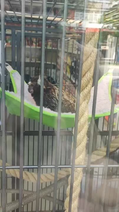 ���������� �������: �������� �������� � �����