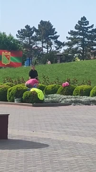 ���������� � ������� ���������� � ������� ��������