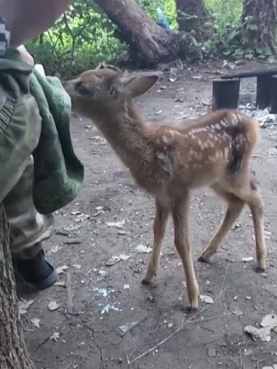 � ���������� ������ �������� ��������� ��������, ������� ������� ����