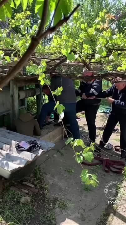 � ������� ��������� �������� ����������� �� �������