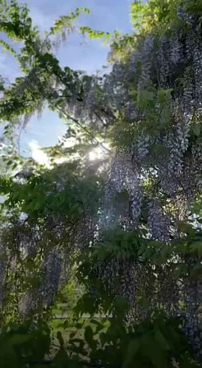 �������� �������� � ����������� ���������