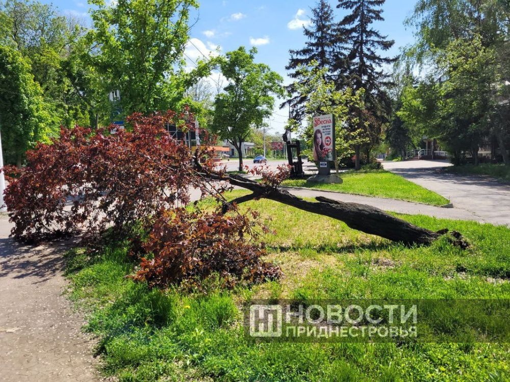 ��-�� �������� ����� � ��������� ��� ������ �������