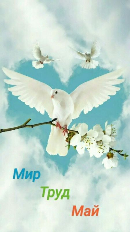 1 ��� � �������:. � 10:00 ������ � ����� ��� ������������� ������������ ���������� �� ������ ������� ���������� �����