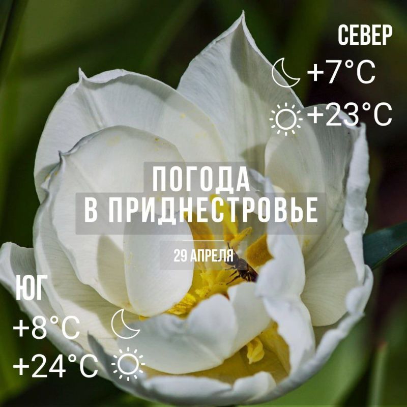 ���� � �� +24��. ��� �������