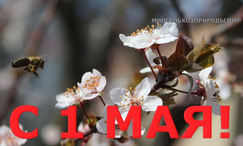 � ���������!. ���������� ����������� � ����������������� ����� ������� �� ��� � ��� ������������ ����� � �������� ������...