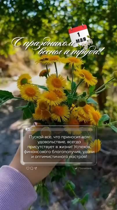 ������ ����