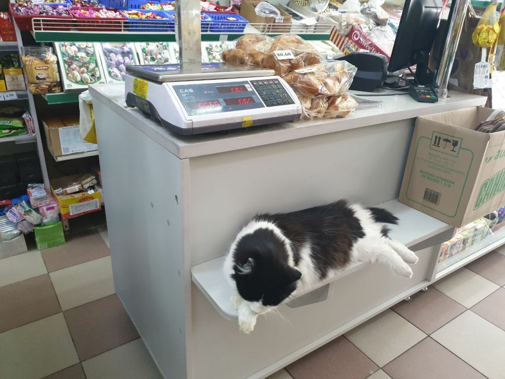 ������ ��������.. ���� �����������