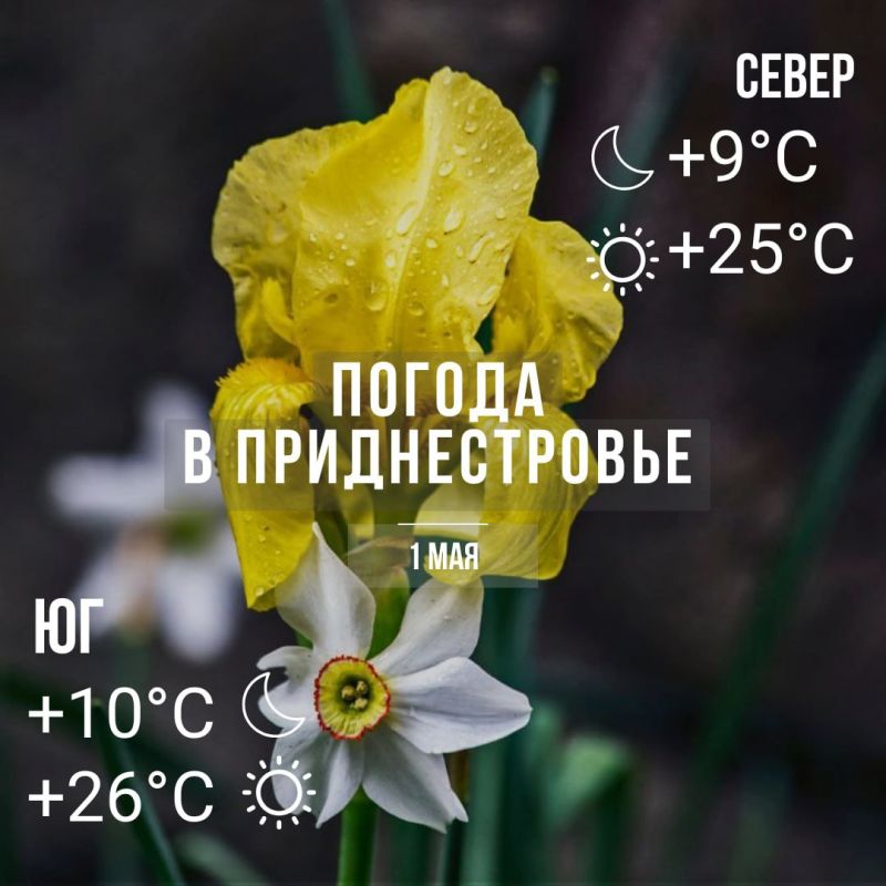 ���� � �� +26��. ��� �������