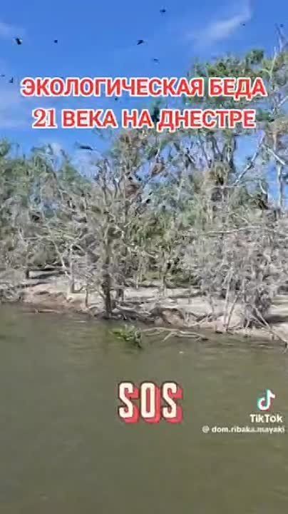 ��������� �������� � �������� �������