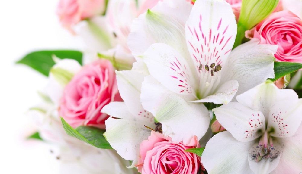 ������������ ��������� ������� ������������ �����