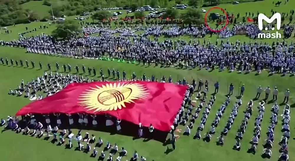 ������ c ��������� ���� 29 ���������� � �����������