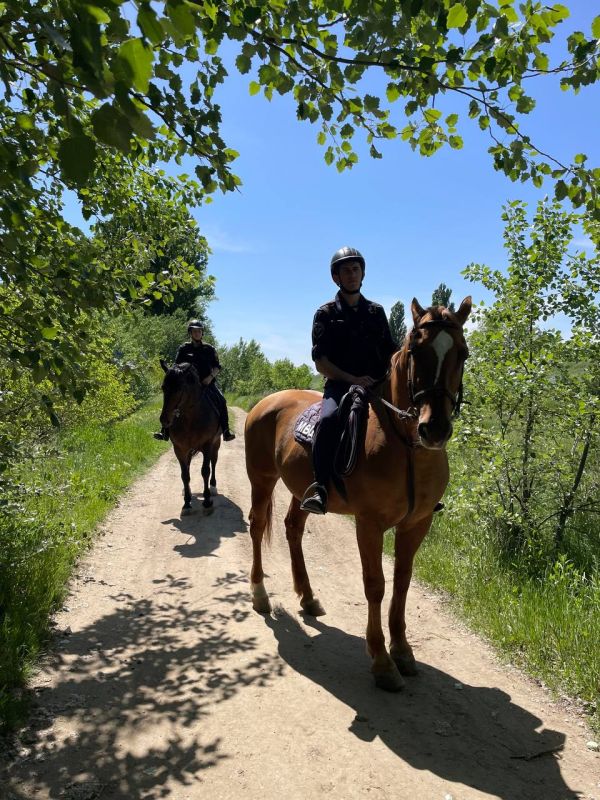 ���������� ����� ��� ����� ����������� ������ �������