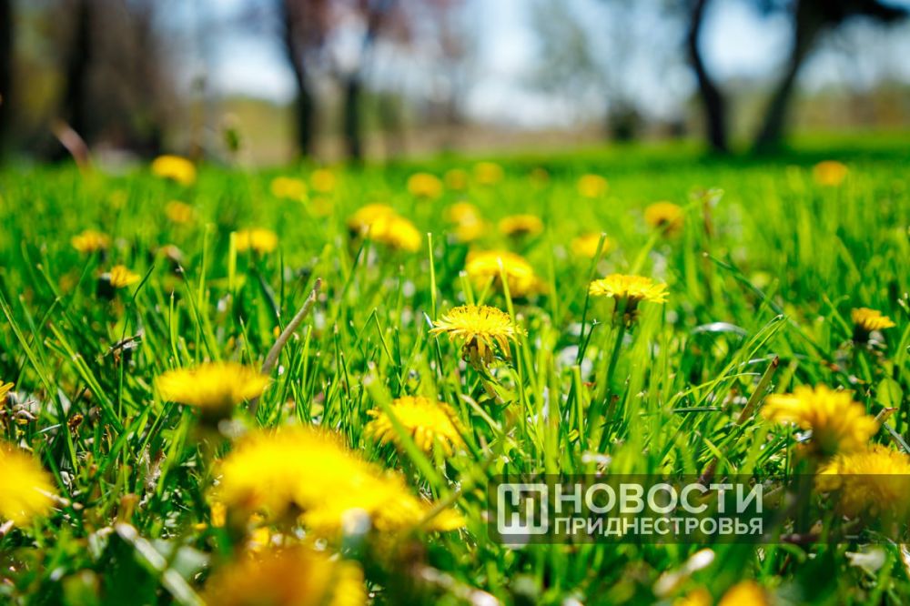 3 ��� � ������������� ����� ��-������� �����