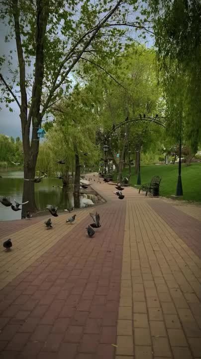 � ��, �� ��������, �� �� �������� � �������