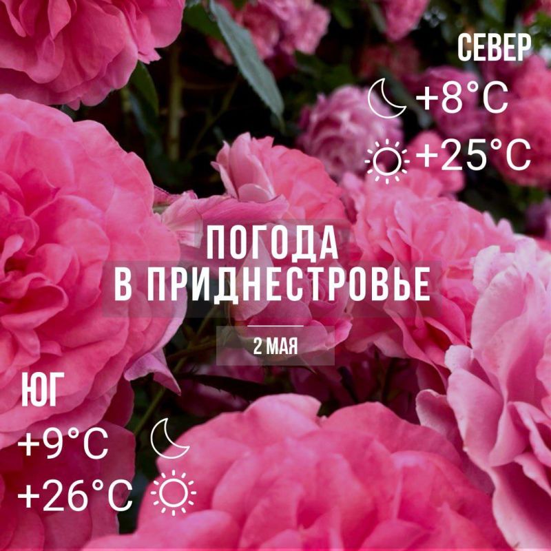 ���� � �� +26��. ��� �������