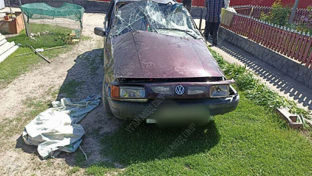 ���������� �������������, �������� � ��������