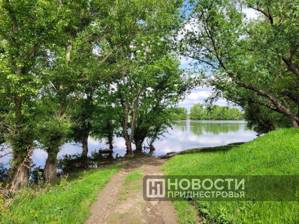 � ��������� ��� ������� ������� ��������� �� 1,3 ����� �� ������� ������-���������