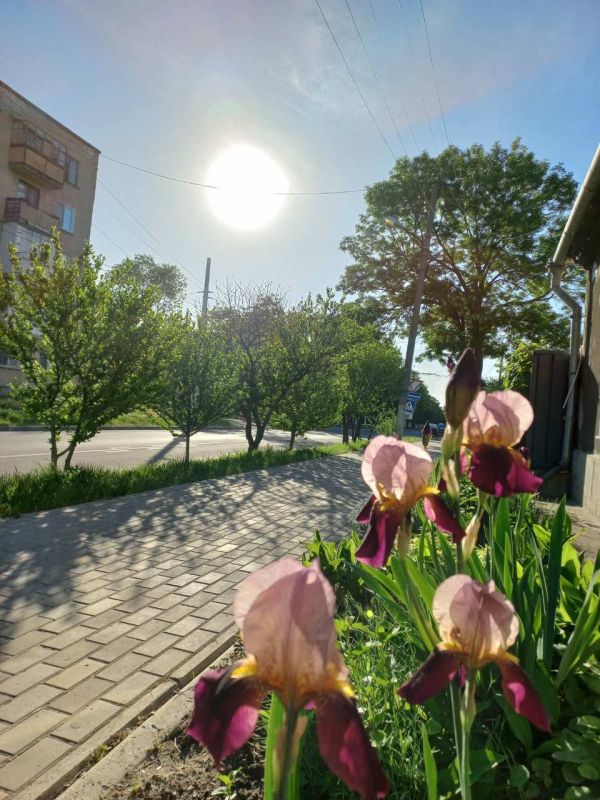 ��� �������� ��������� ����� �� ����� �� � ��, 4 ��� ��������� ���������� ����������, ��� �������