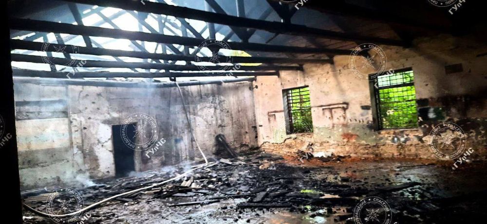 ������ ���� ����� � ��������