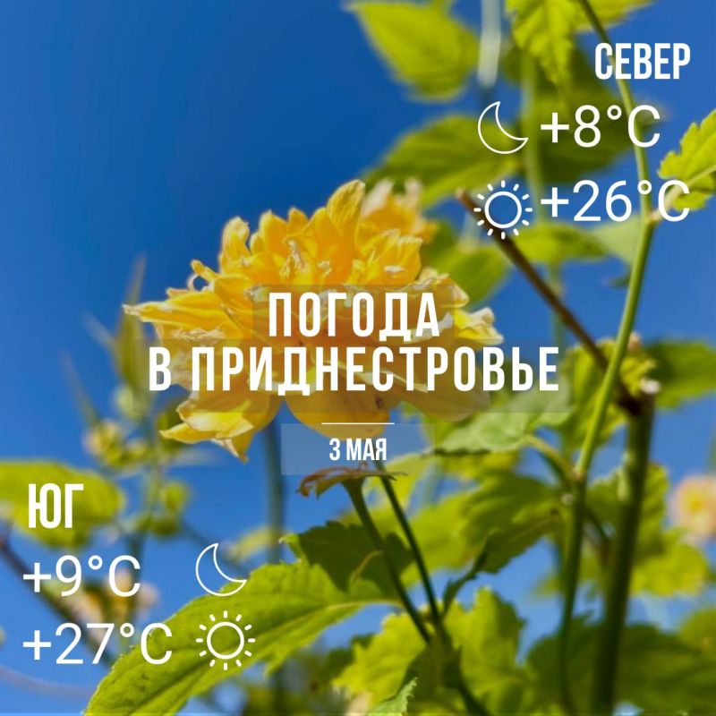 ���� � �� +27��. ��� �������