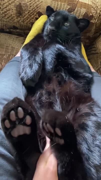 ����� �� ������ ������� � ���� � ��� ������������� �������, �� ������� ���������� �� ������������� ��������