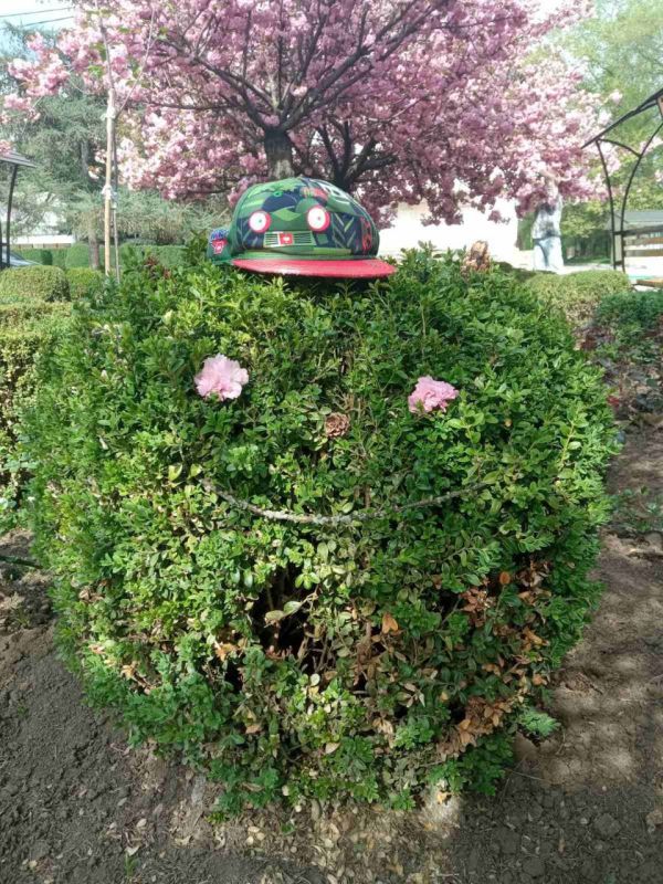 �������� ������� � ����������