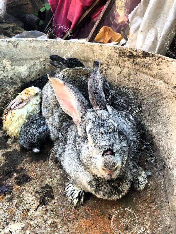 ��� ����� ������! ���� �������� �������, ����� ��������