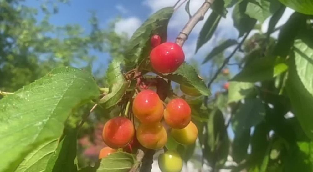 �������� ������ �������: ��������� �������