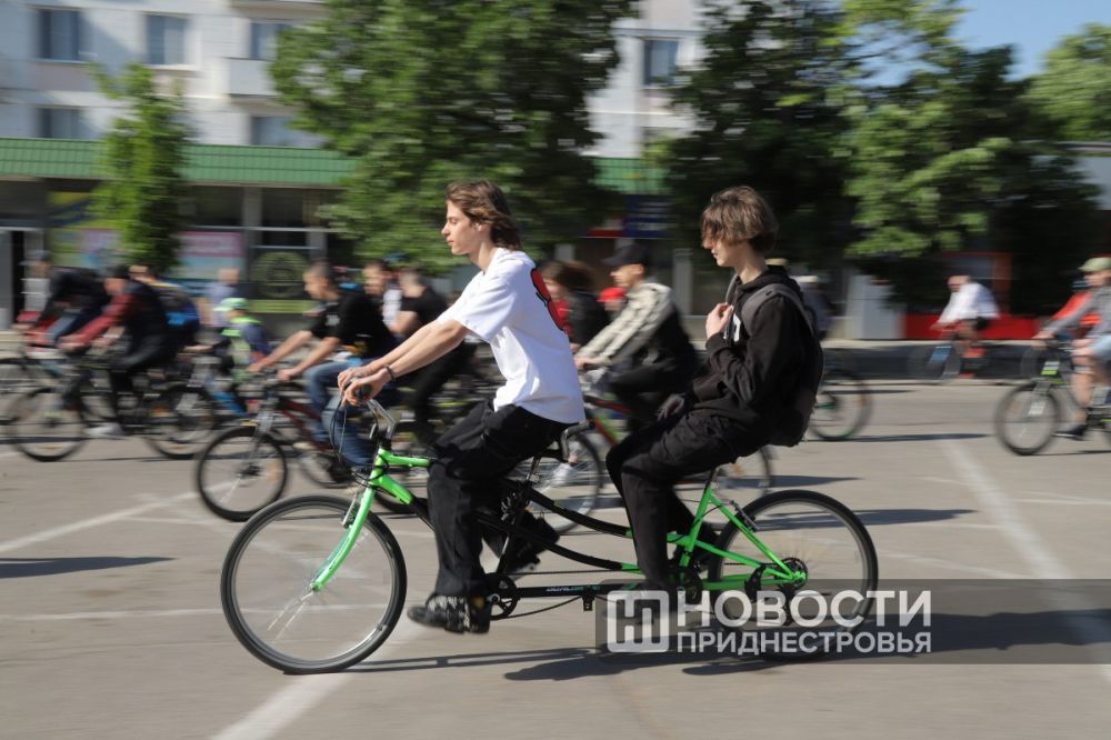 ����� ������ ����� ������� ������ ������ ������ ������