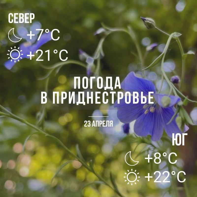 ���� � �� +22��. ��� �������