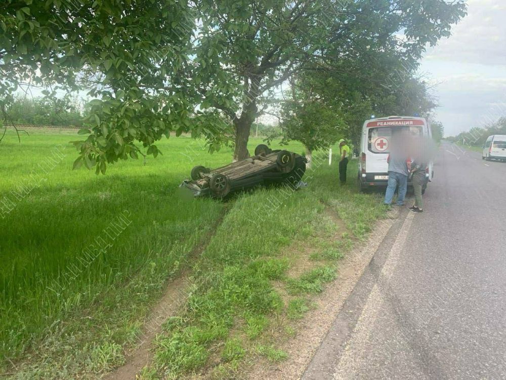 ������ �������� �� ������������� ������������ �� ������ ���������-����������