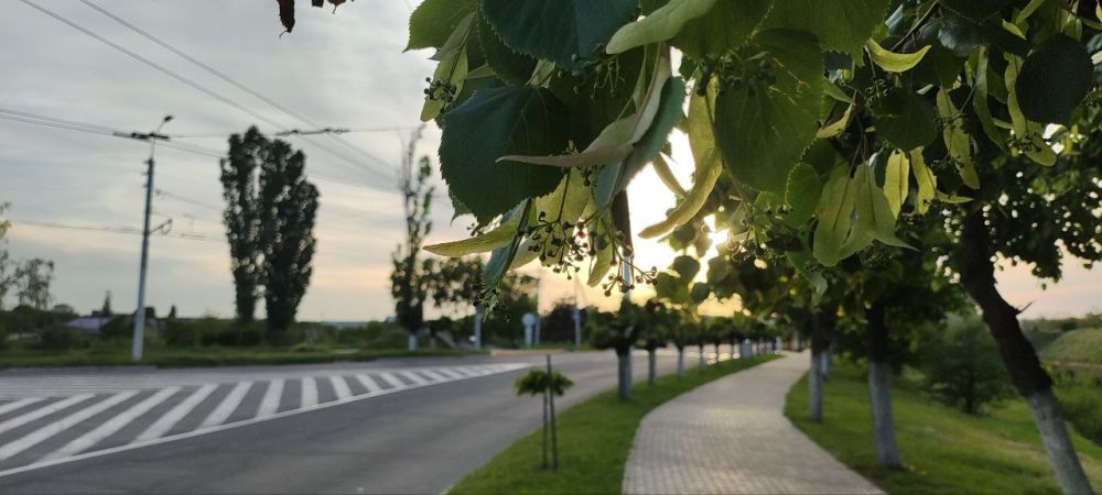 �������� ��������� ���� � ��� ���, ��� ��������� ����� �������