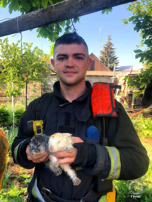 �������� ����� ������ �� ������ � ���������