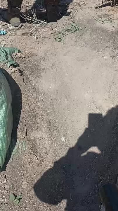 ������ ������� � ���� ��� �� �������