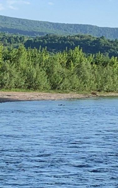 ���� ������� ���������� �� ������ ���� � �������, � ����