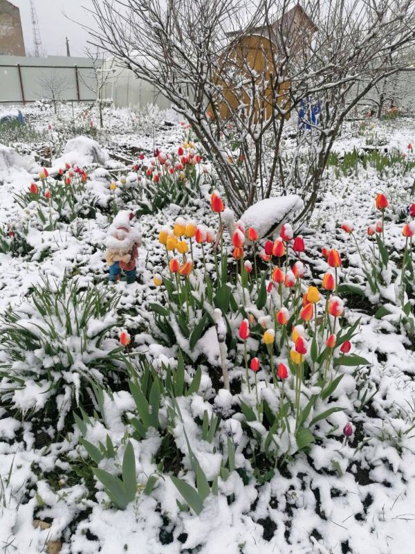 � ������ ����� ������� ����