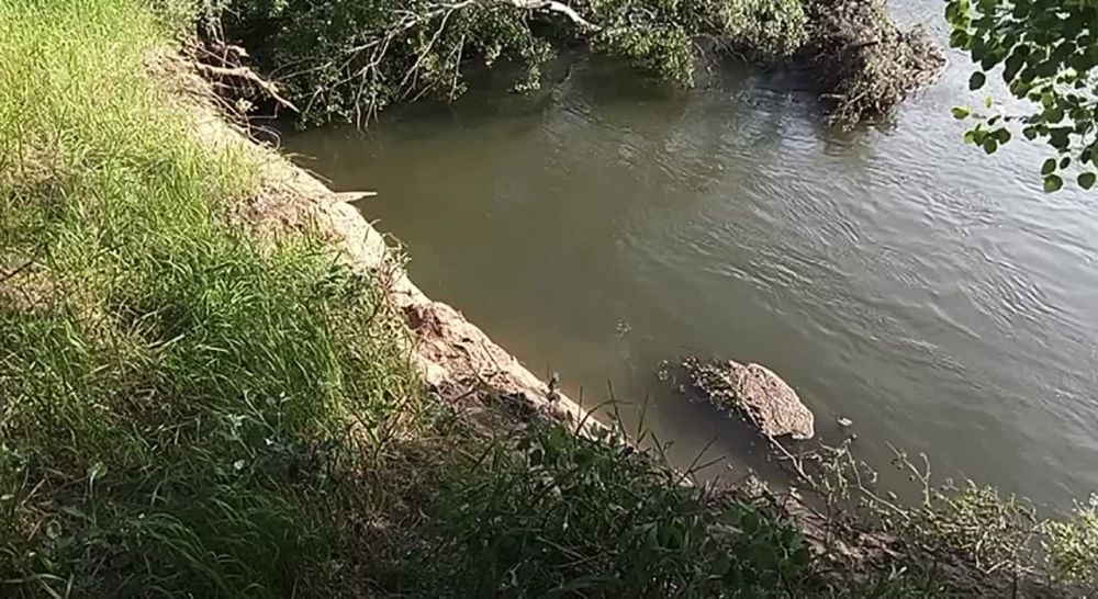 ������ ������ ��������� ����� ����� �������� � ���������