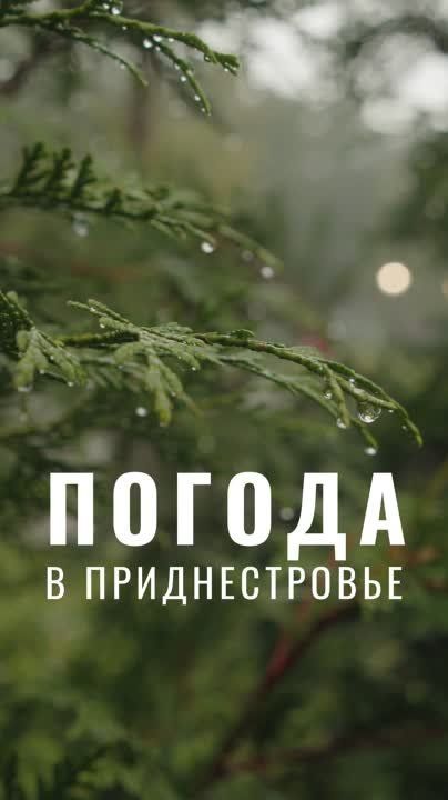 7 ��� ��������� ���������� ����������, �� ������