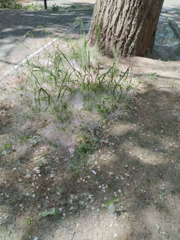 � ������ ������� ����, � �� ��������� � ��������� ��������� ���