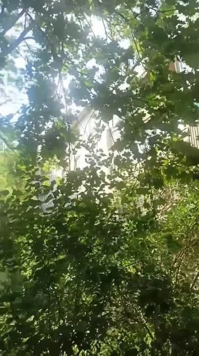 � ��� ���������� ��� �������� ������ ���������