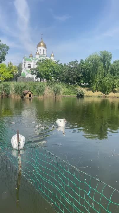 ��� �������� ���������� �� ��������� ����� � �������������� �����