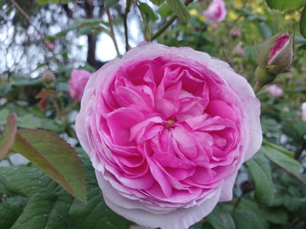 ��� ������� ��������� ����� �� ����� �� � ��, 8 ��� ��������� ���������� ����������, ����� ������� ��������������� �����