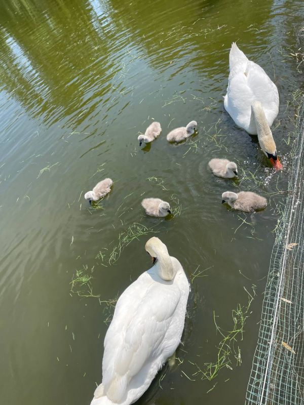 ������������� ������� ������������� ������� �� ����� � �������������� �����