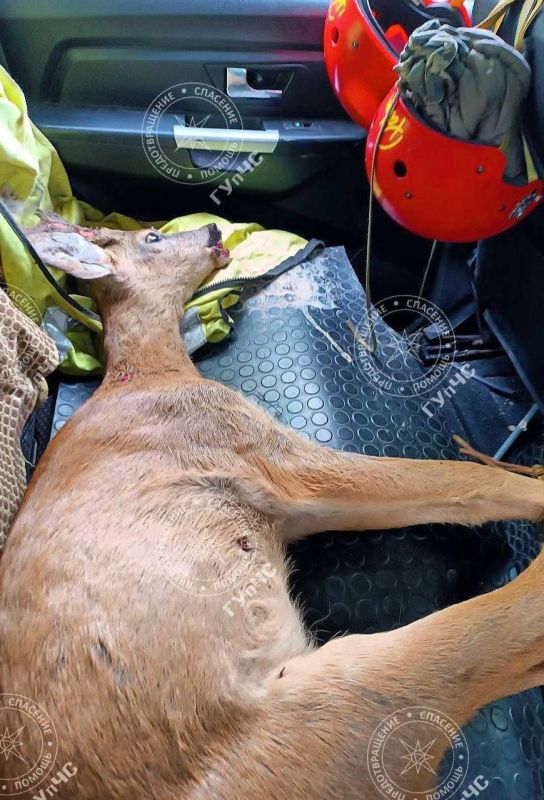 ������� ������ ������ �� ������������� �� ��� �����