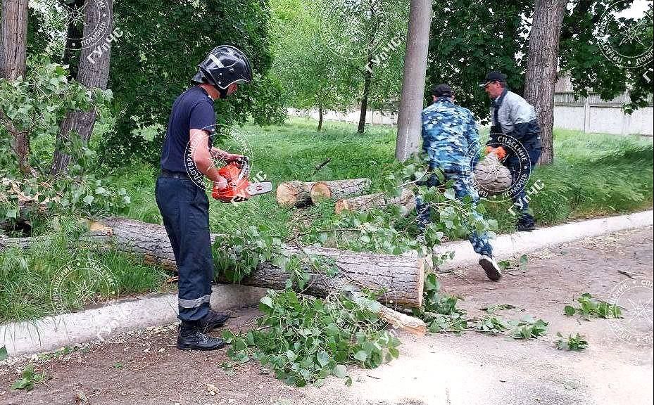 ����������� ��������. � ���������� 7 ��� �������� ������� ����� ������������� 3 ������ ������� �������� � ���������� �������� � �� ������ � ���������, �������� � ������������