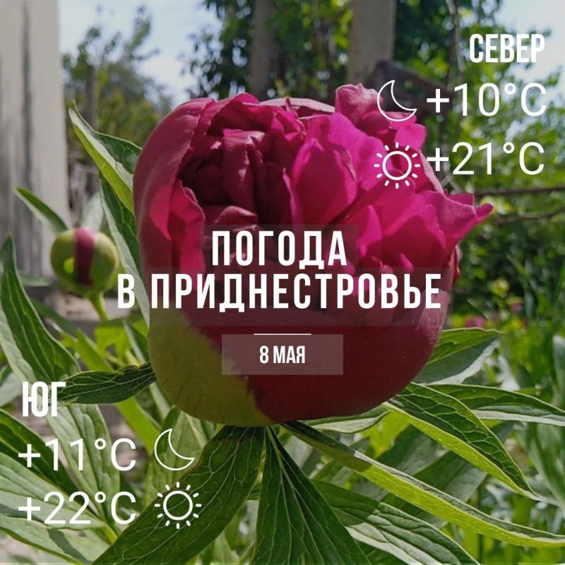 ���� � �� +22��, ��� �������